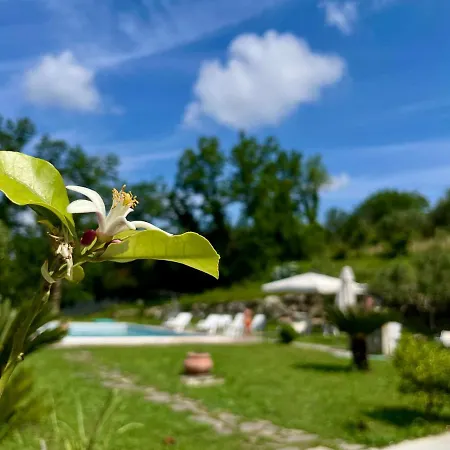 Villa Con Piscina Donna Romina SantʼAgata deʼ Goti Exterior foto